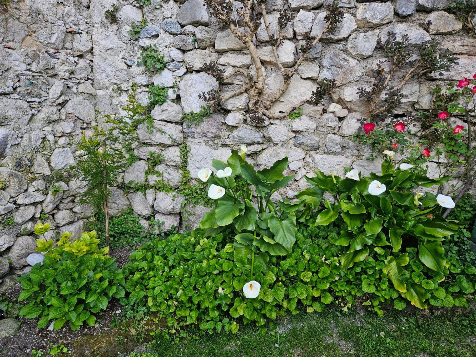 Gardainn Giardino 38A Riva del Garda Buitenkant foto